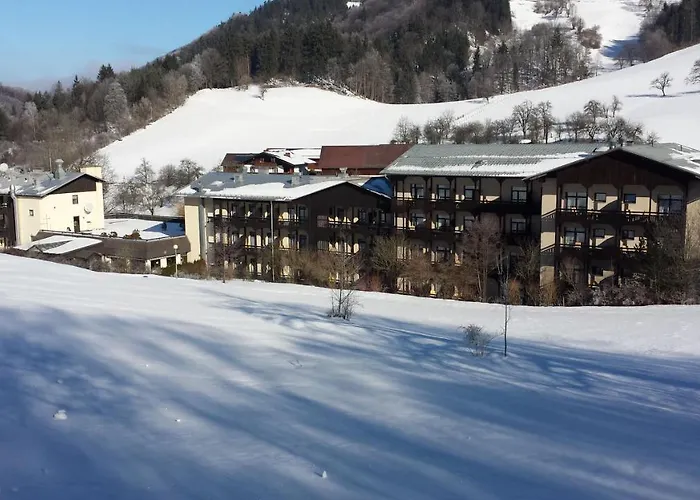 Gesundheits-&wellnessresort Salzerbad Hotel *